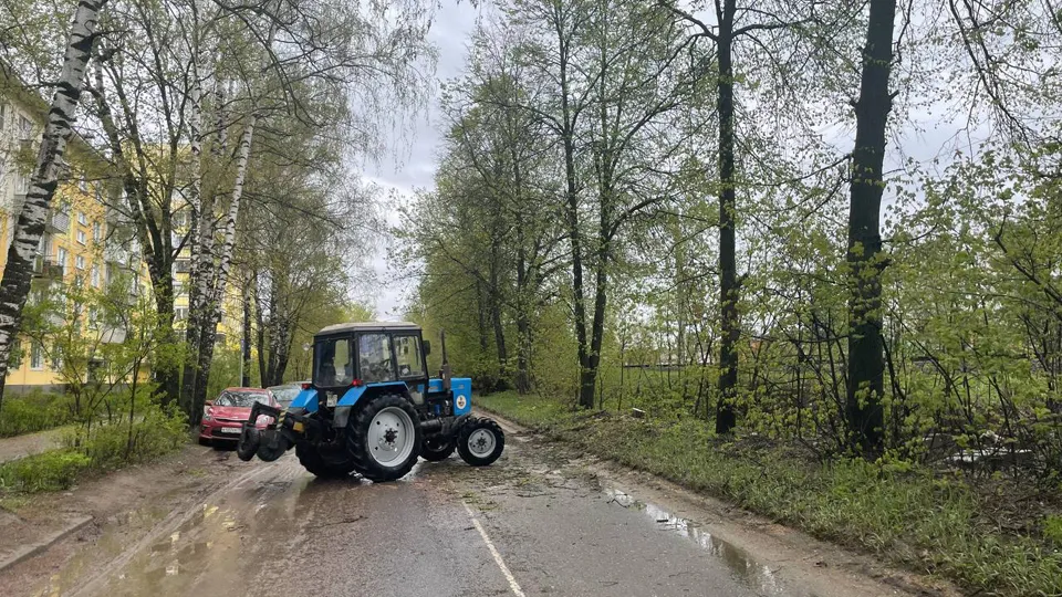 Фото: пресс-служба администрации г.о. Щелково