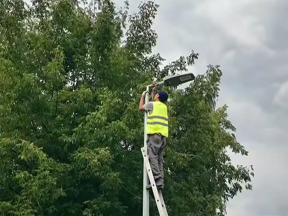 Фото: пресс-служба администрации г.о. Щелково