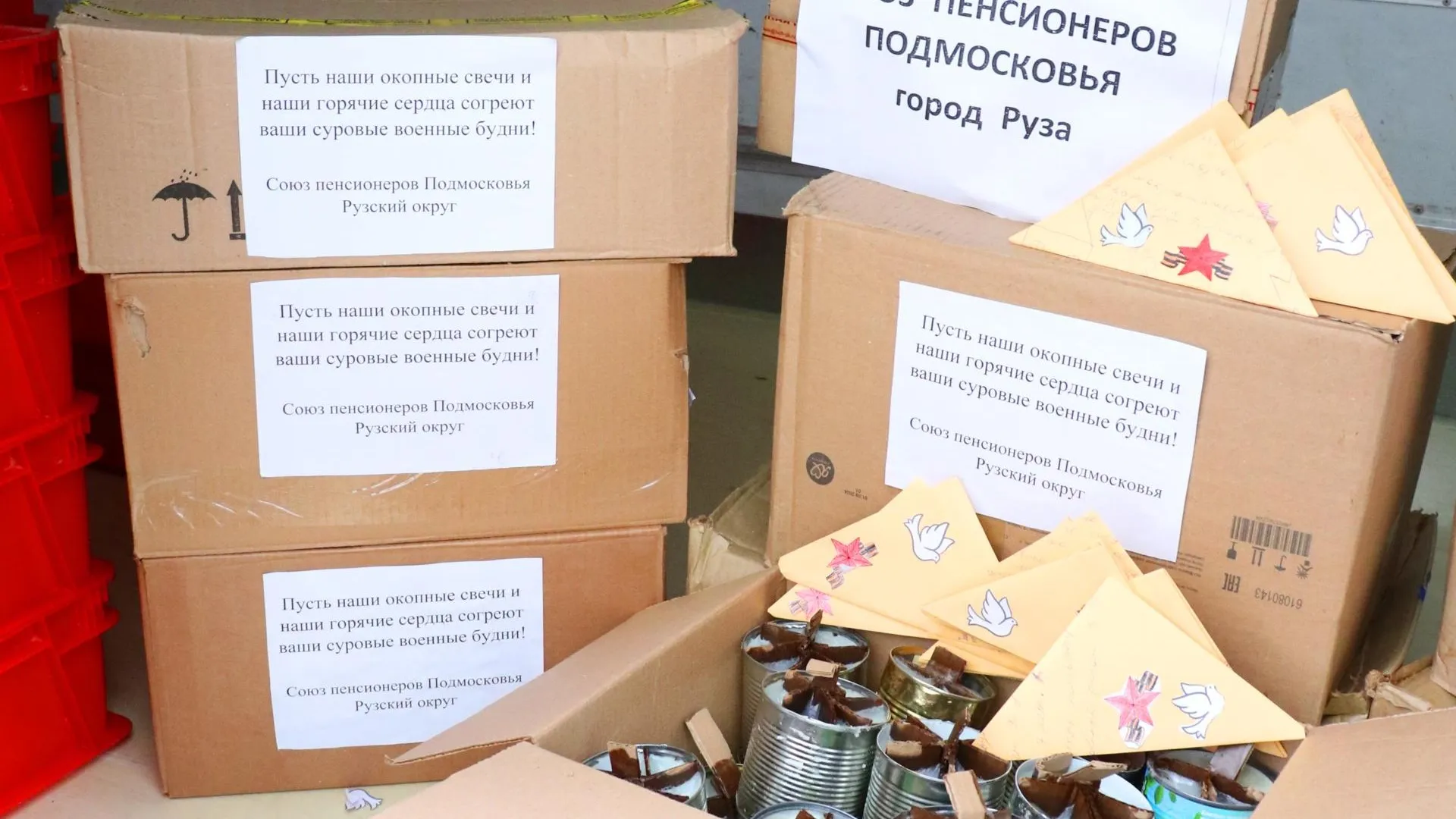 Фото: Рузское отделение Союза пенсионеров Подмосковья