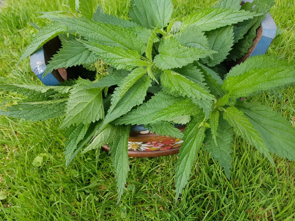 Фото: istockphoto.com