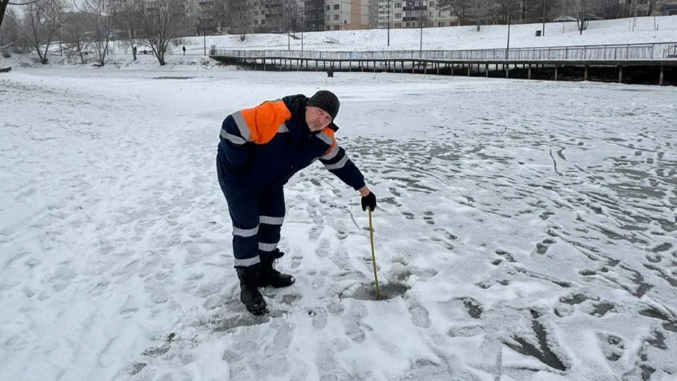 Фото: Администрация г.о. Чехов