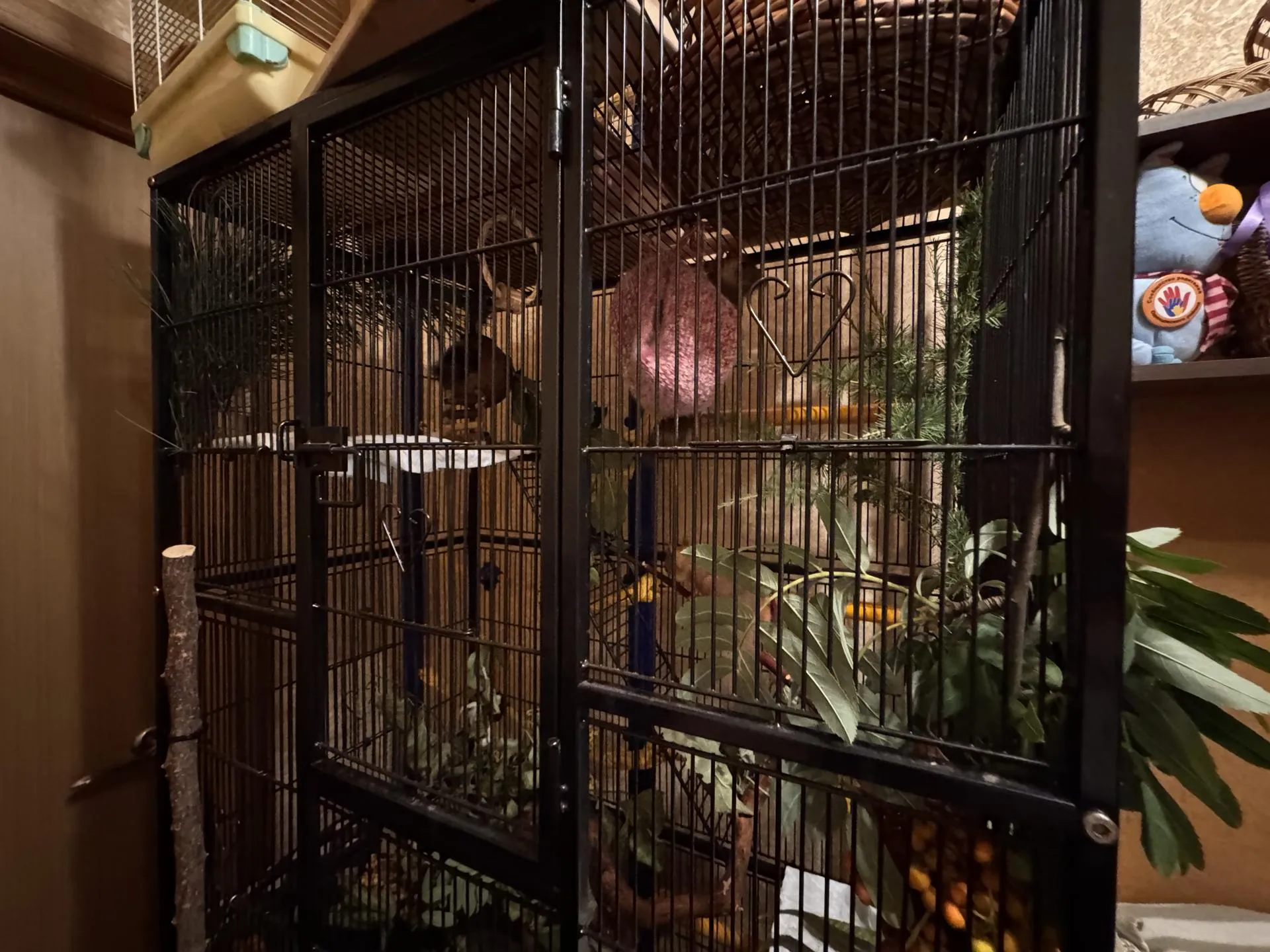 Фото: REGIONS/Мария Шматкова