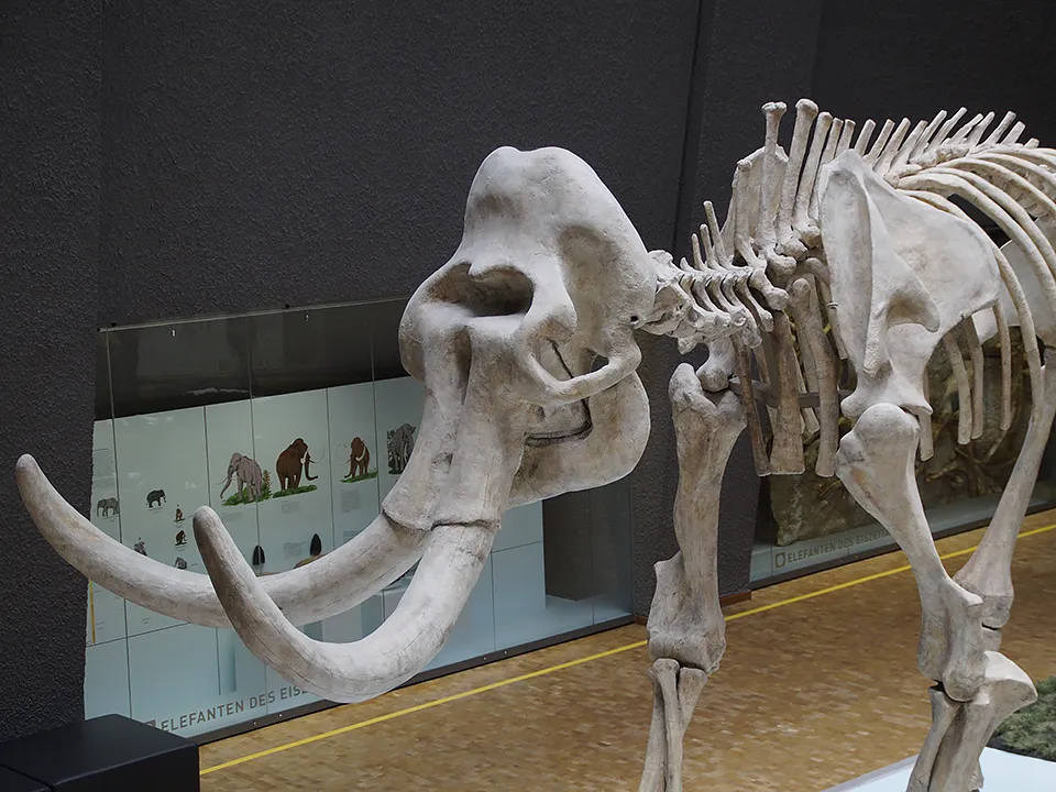 &nbsp; Фото: pxhere.com