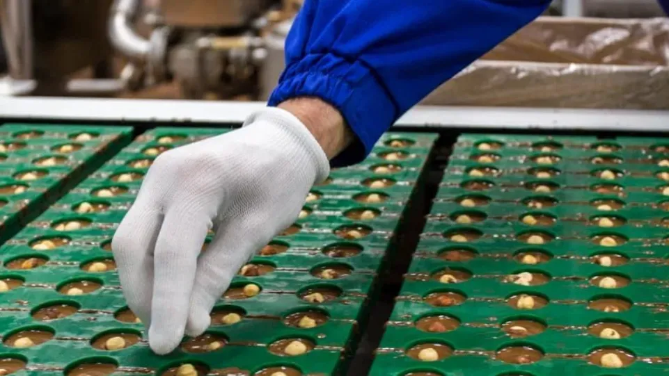 Фото: Пресс-служба Губернатора и Правительства Московской области