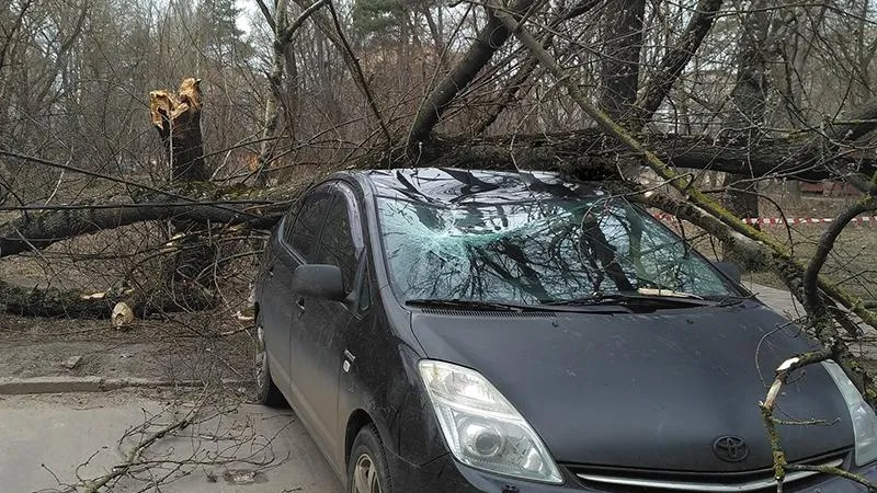 Непогода под контролем: ведомства региона работают в усиленном режиме