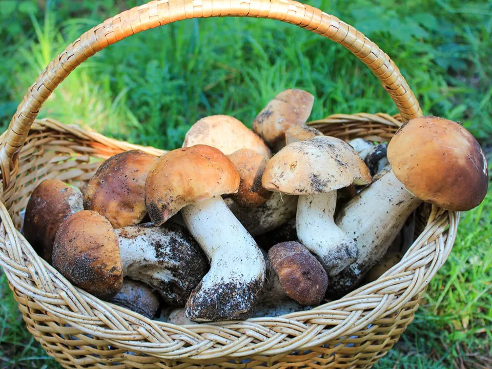 &nbsp; Фото: istockphoto.com