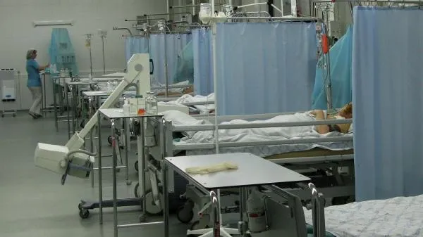 Алексей Бабушкин / РИА Новости