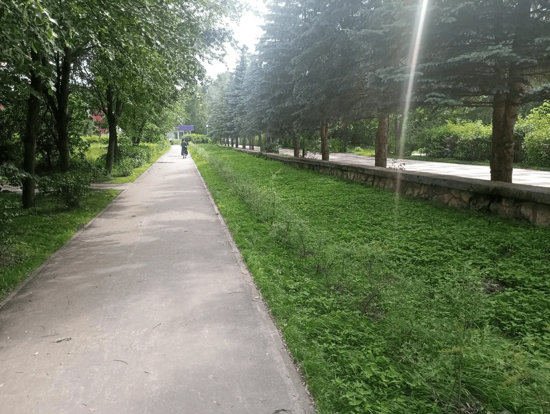 Фото: пресс-служба администрации Протвино