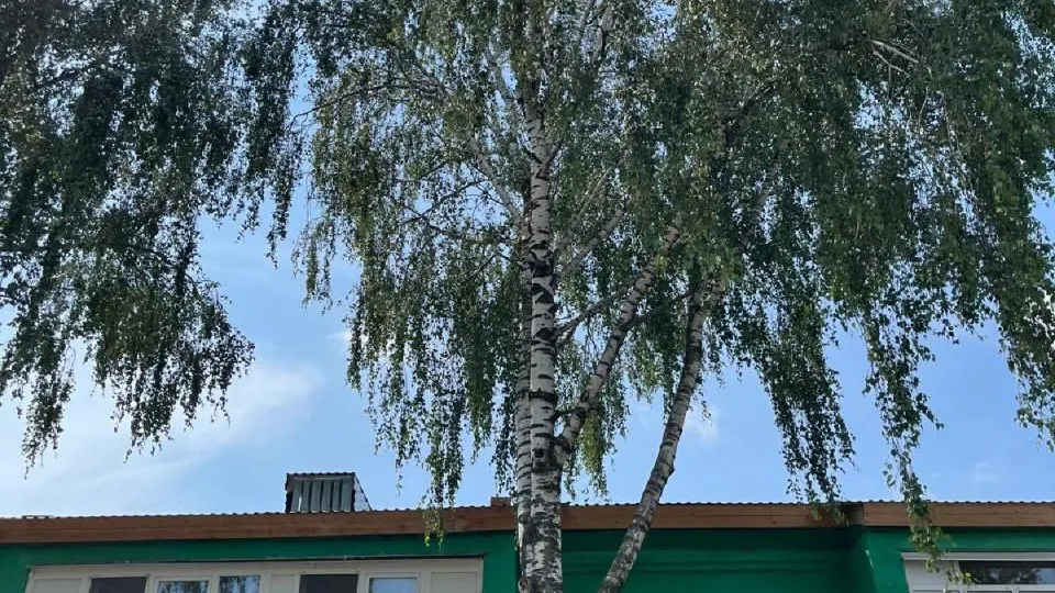 Фото: администрация м.о. Серебряные Пруды