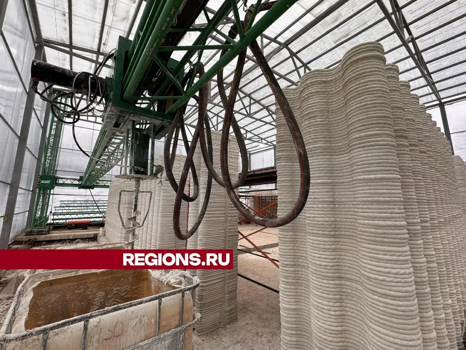 Фото: Мария Шматкова