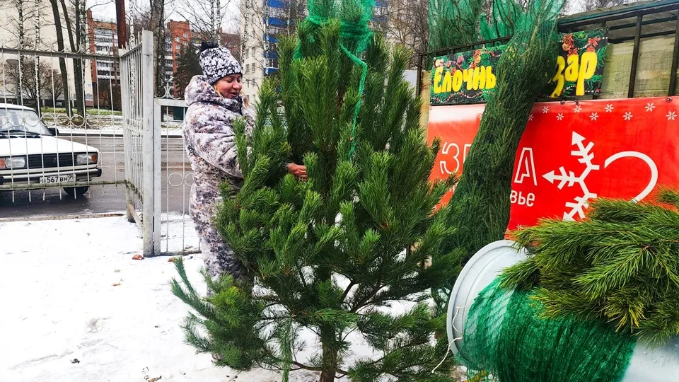 Фото: REGIONS/Мария Панина