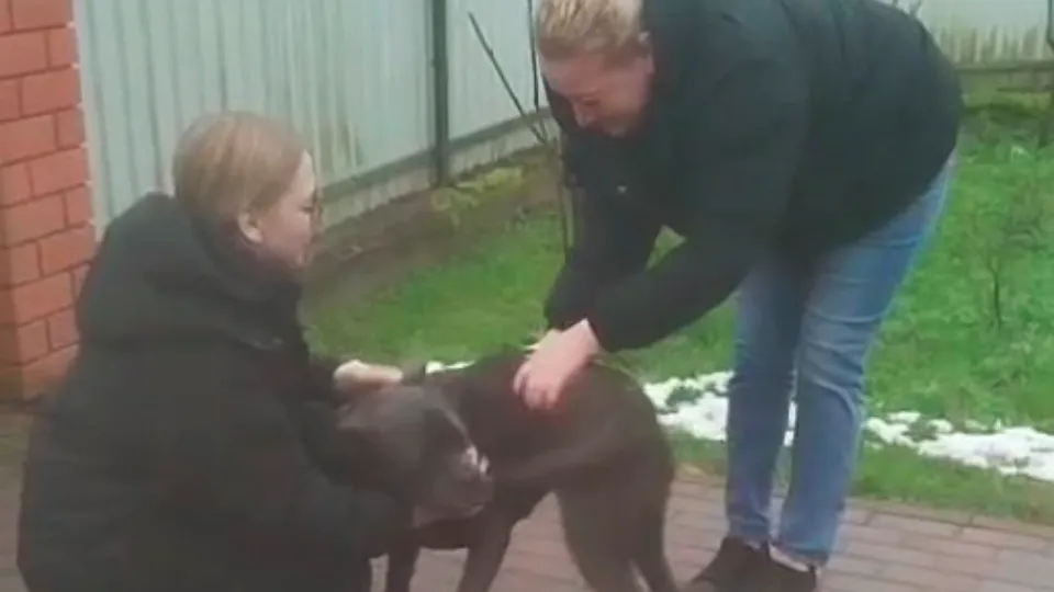 Фото: t.me/dorohovo_one