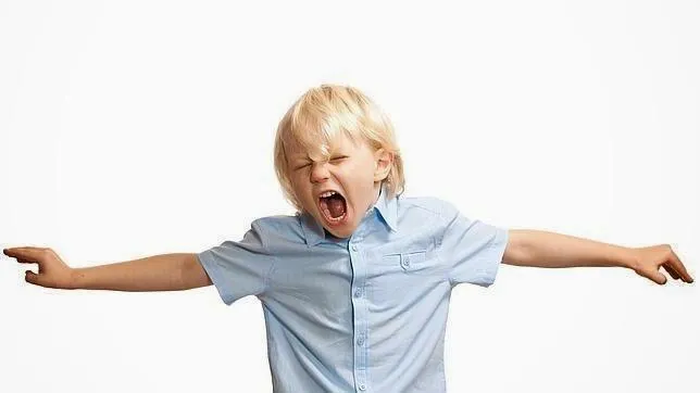 В Дмитрове родители устроили забастовку из-за ученика, которого не хотят переводить на индивидуальное обучение