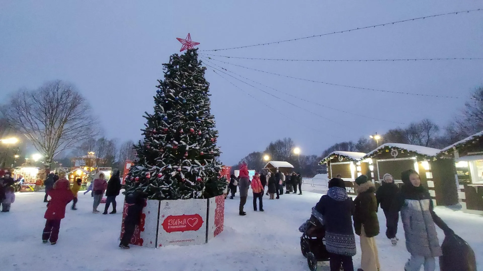 Татьяна Афанасьева