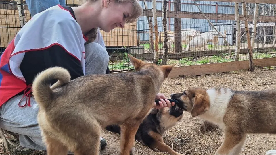 Фото: пресс-служба администрации г.о. Клин