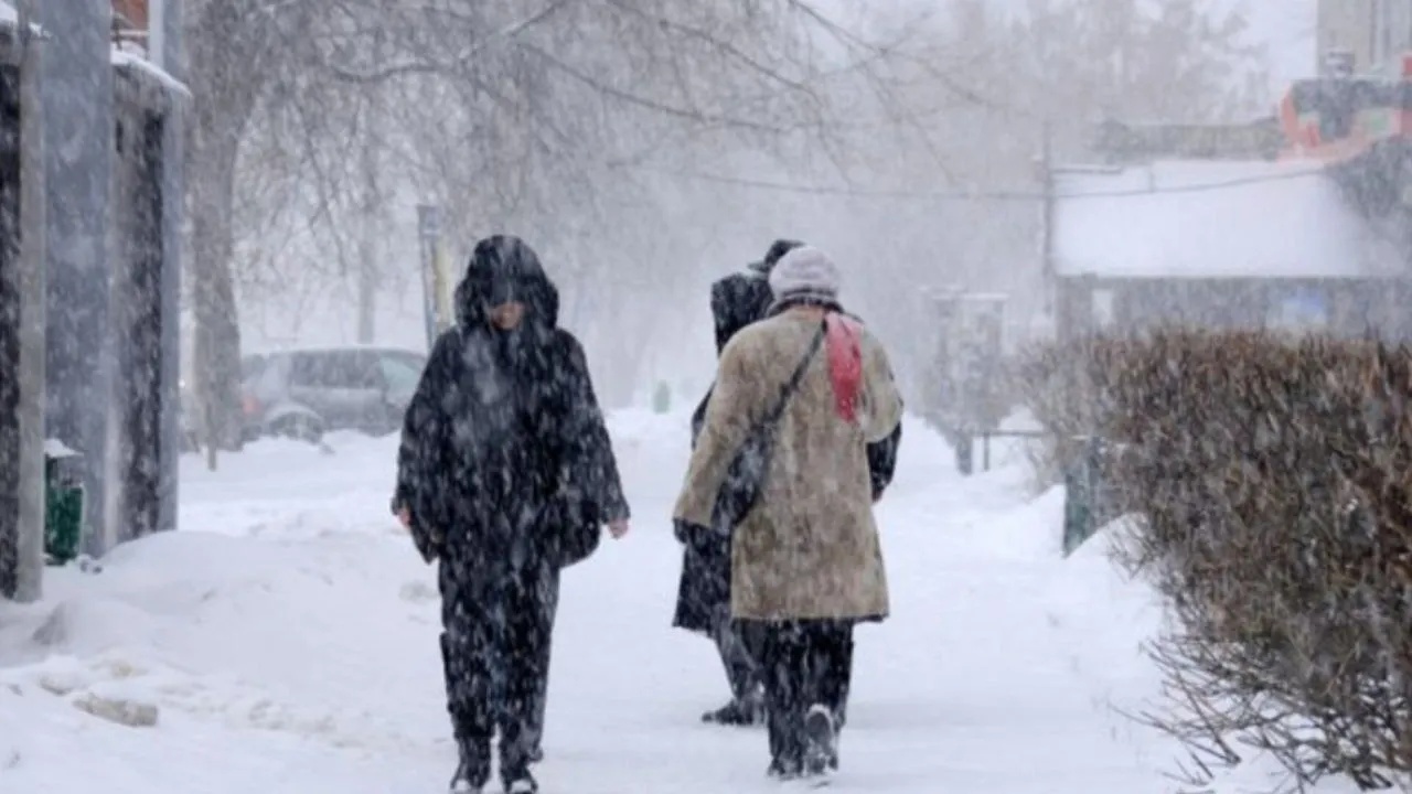 Фото: медиасток.рф