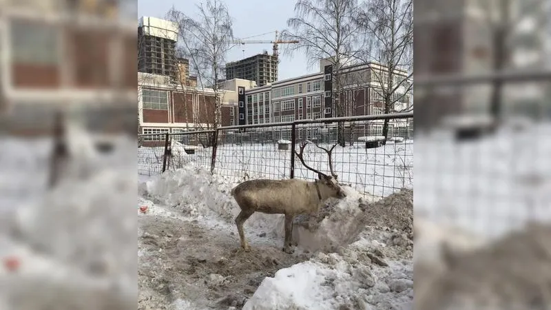 «Привет, Долгопрудный!»/facebook.com