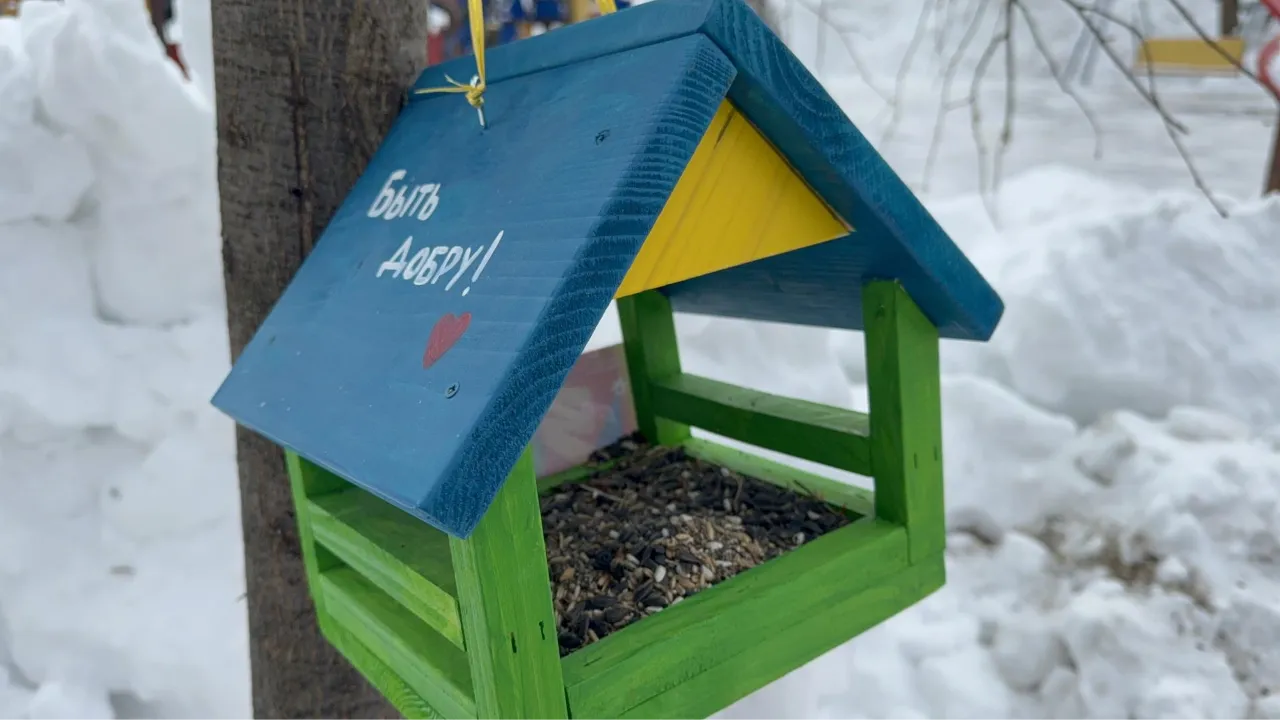 МедиаБанк Подмосковья/Анна Дука