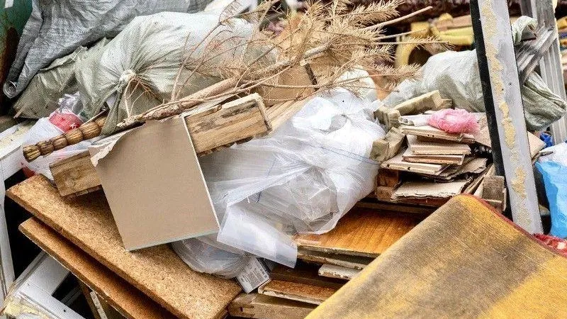 Более 30 несанкционированных свалок ликвидированы в Подмосковье с начала года