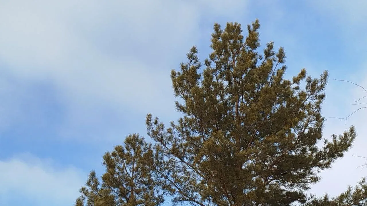 REGIONS/Юлия Куделькина