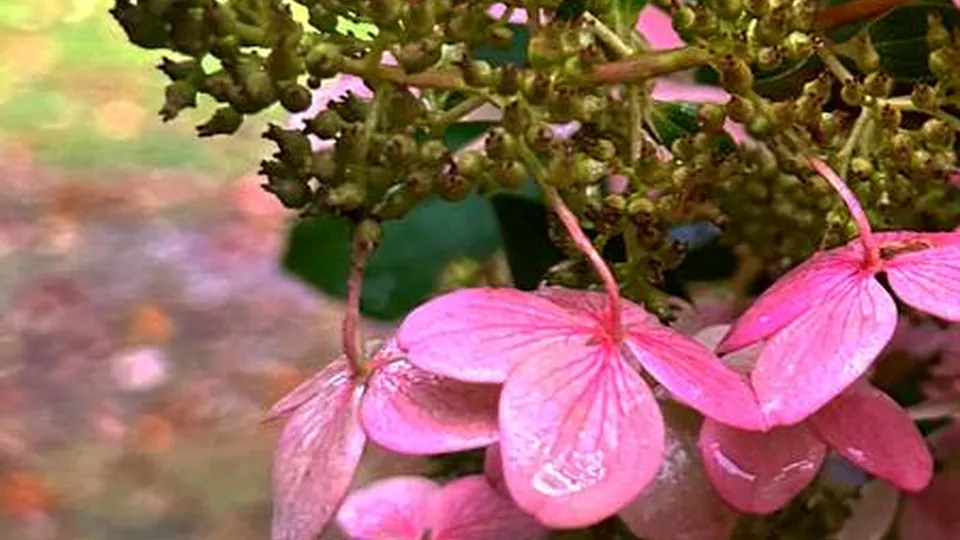 Фото: Александра Серова