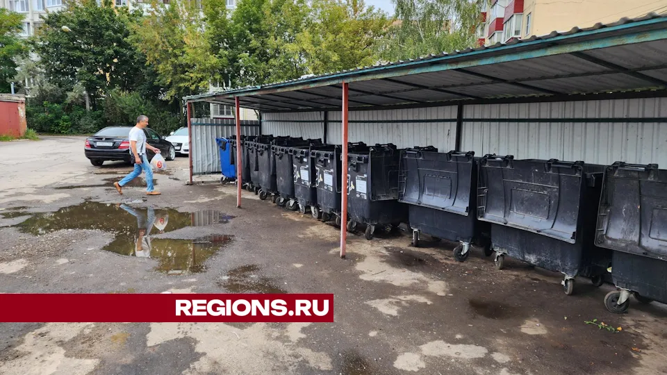 Фото: Дмитрий Алексеенко