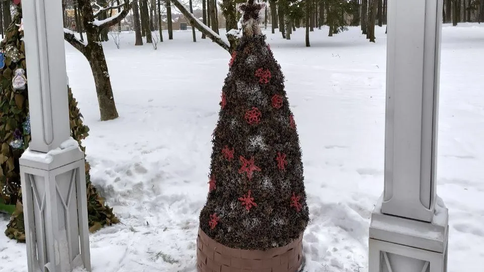 Фото: МФЦ г.о. Воскресенск