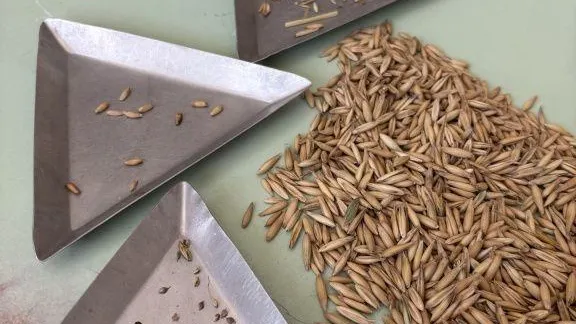 ФГБУ «Россельхозцентр» по Московской области