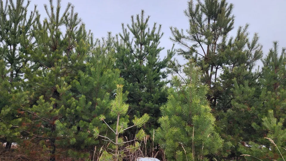 Фото: МедиаБанк Подмосковья/Анна Шолохова