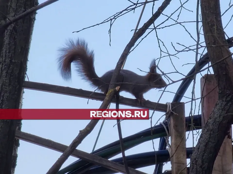 Фото: Роман Савельев