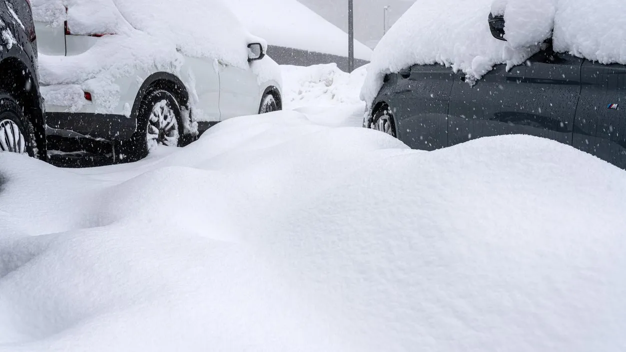 На Камчатке снег заблокировал людям выход из домов: жильцы начали рыть тоннели