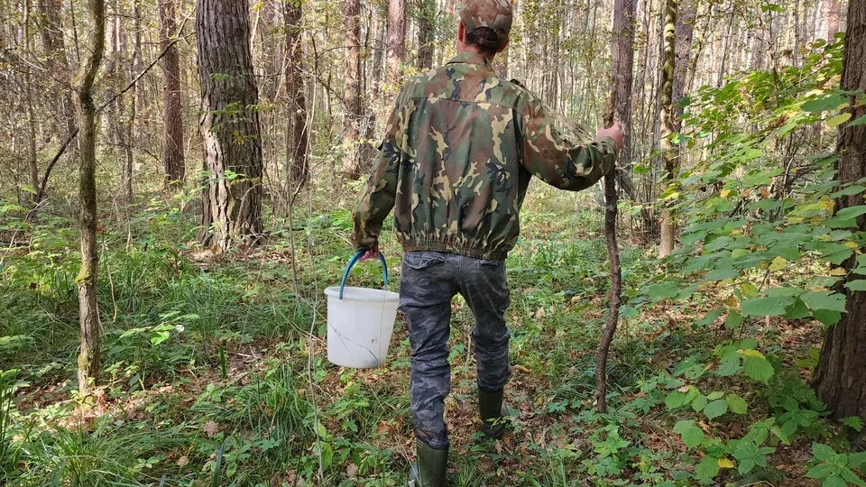 Фото: МедиаБанк Подмосковья/Александр Степушкин