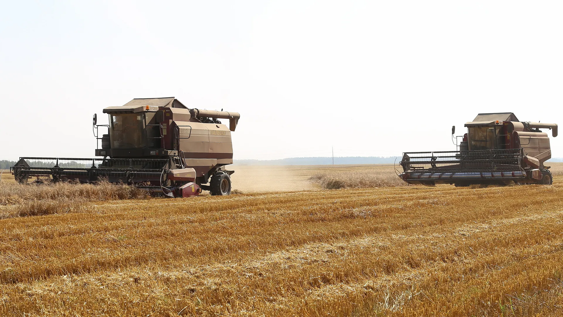 Фото: Александра Дрожжина