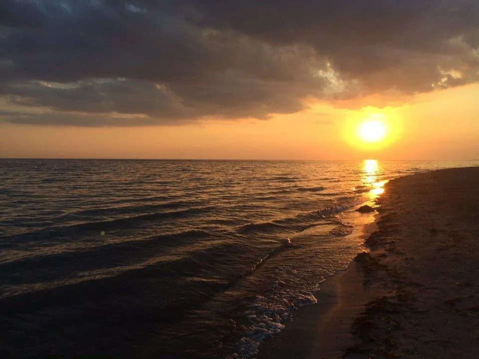 Опасность для туристов: сейсмологи рассказали, может ли землетрясение в Анапе повториться летом