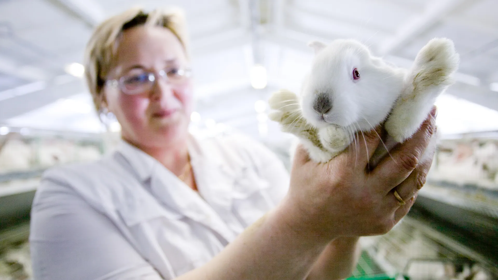 медиасток.рф