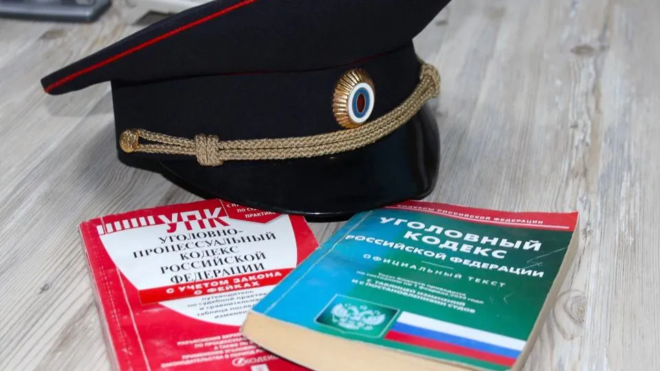 Фото: пресс-служба УМВД России по Дмитровскому г. о.