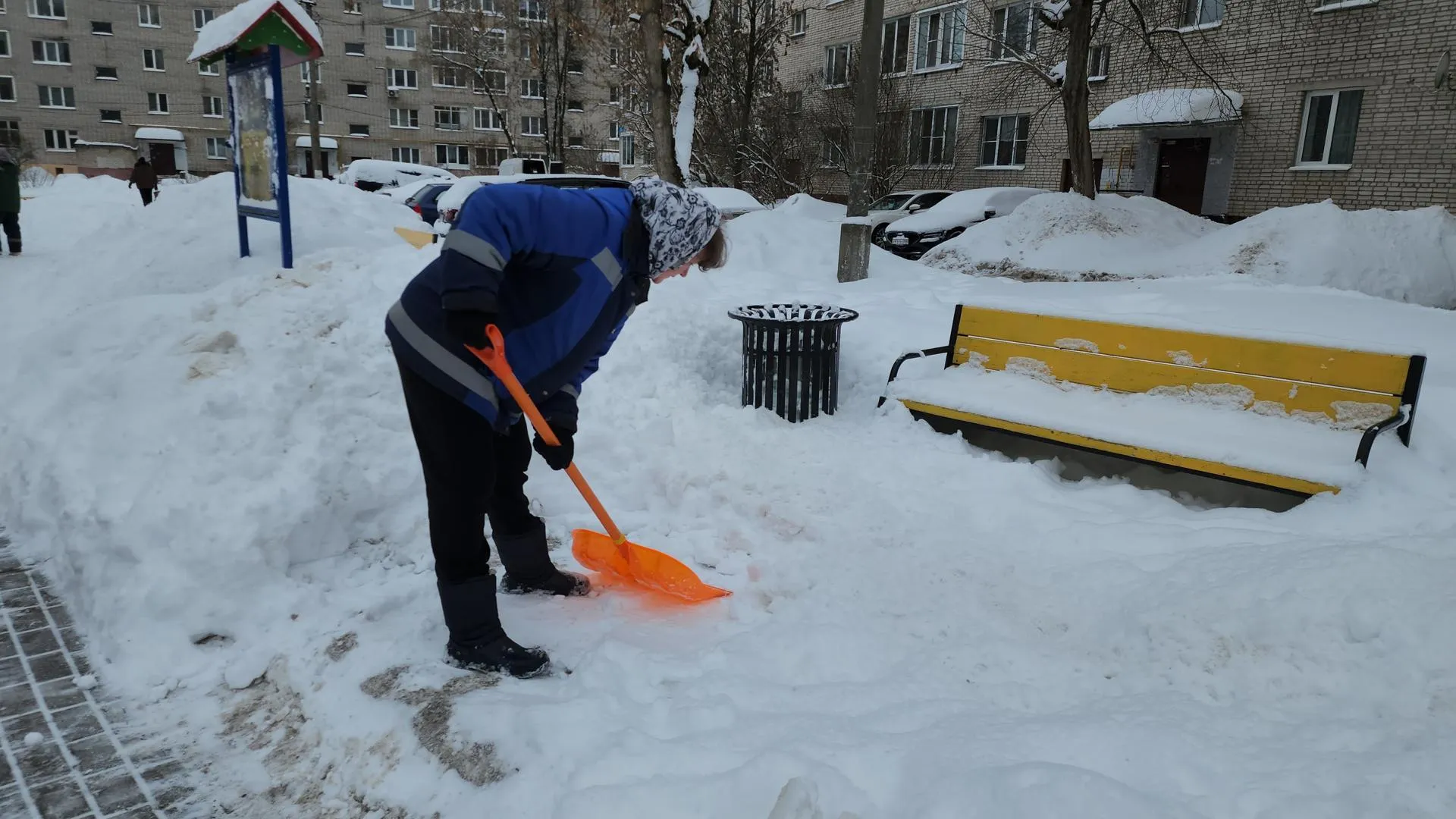 МедиаБанк Подмосковья/Екатерина Морозова