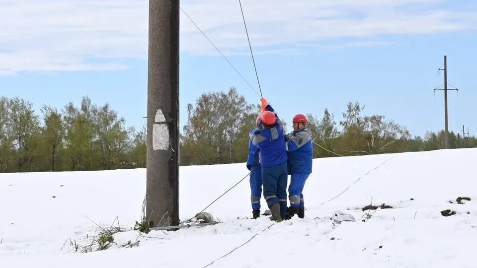 Фото: администрация Одинцовского округа