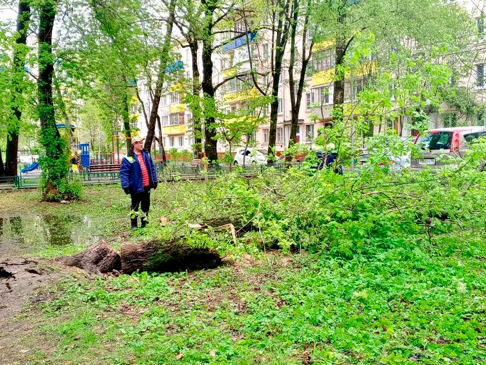 Фото: t.me/zemlyakova_khimki