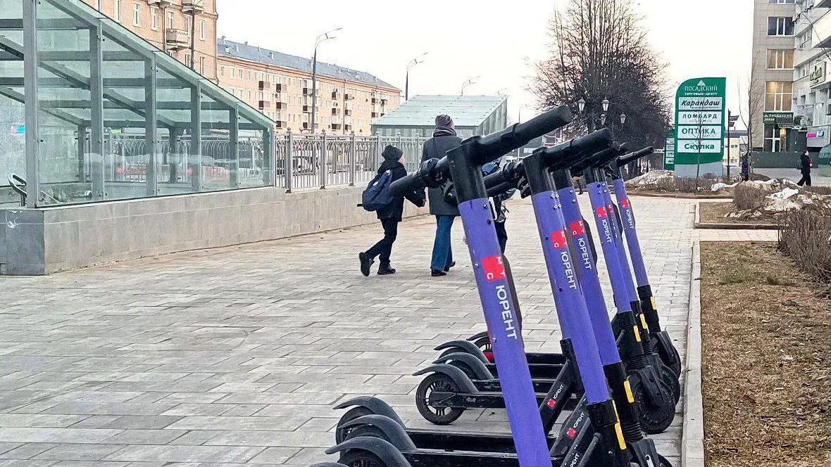 Фото: пресс-служба администрации Сергиево-Посадского г.о.