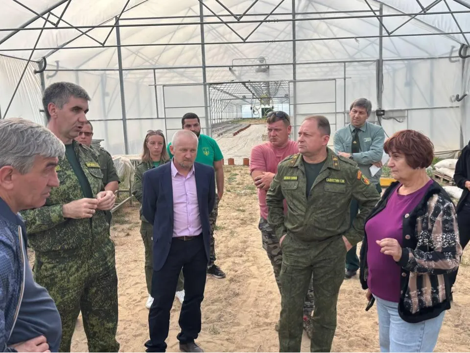 Фото: Комитет лесного хозяйства Московской области