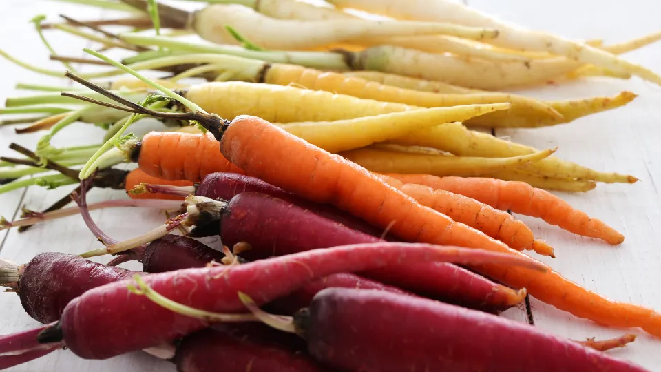 Фото: freepik.com