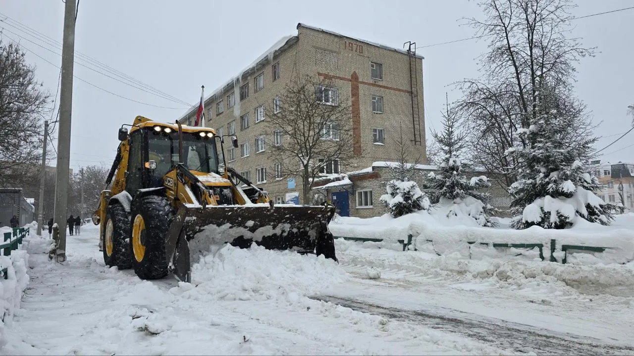 Медиабанк Подмосковья/Марина Анисимова