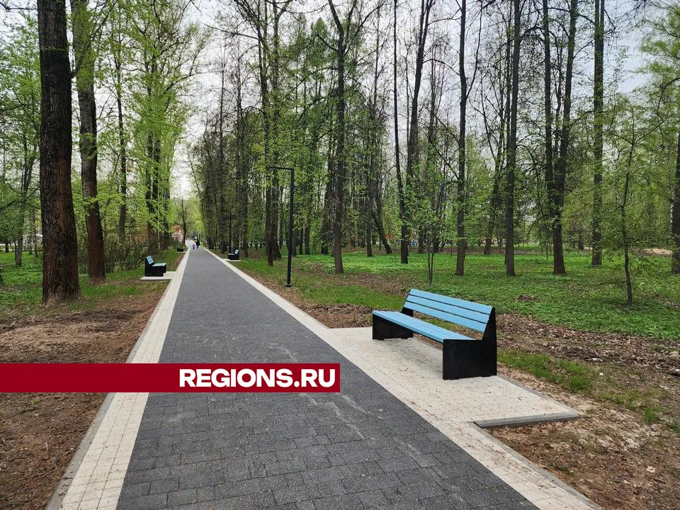 Фото: REGIONS/Валерия Исаева