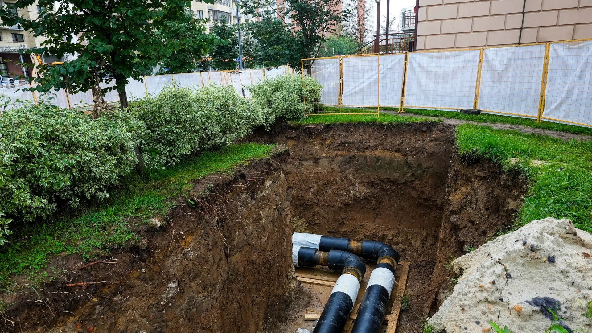 Фото: медиасток.рф