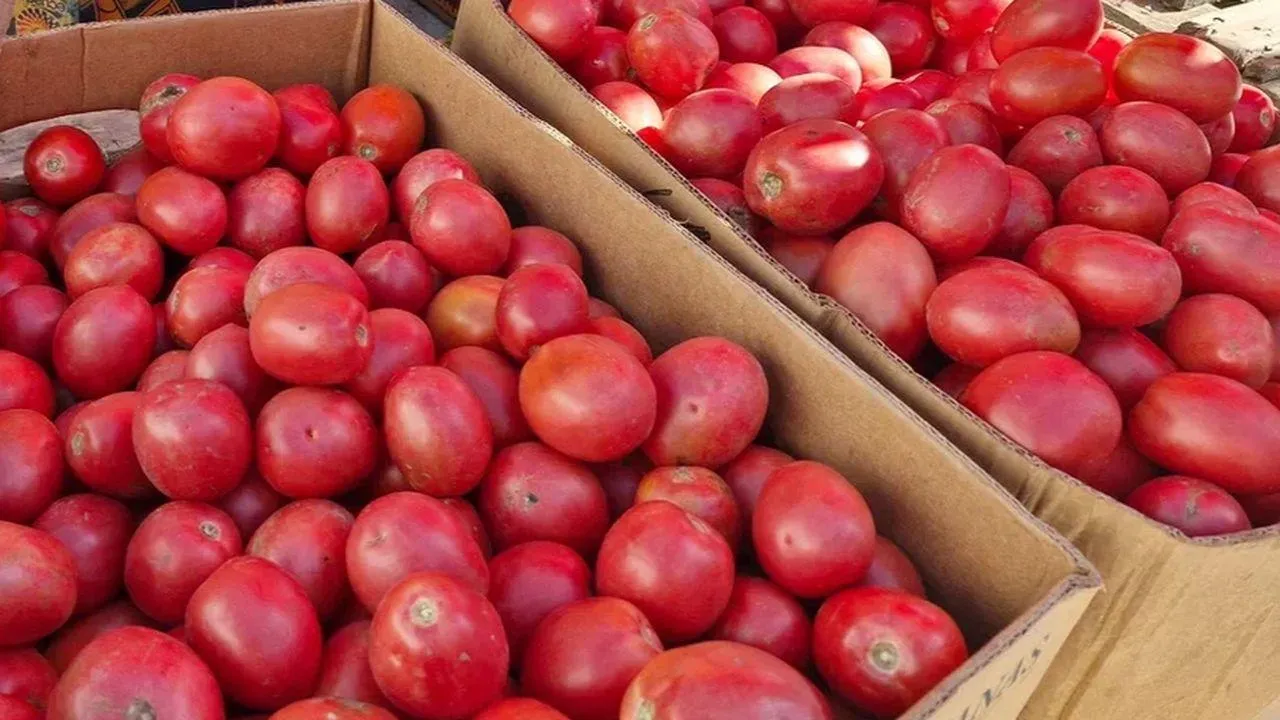 REGIONS/Наталья Надточая