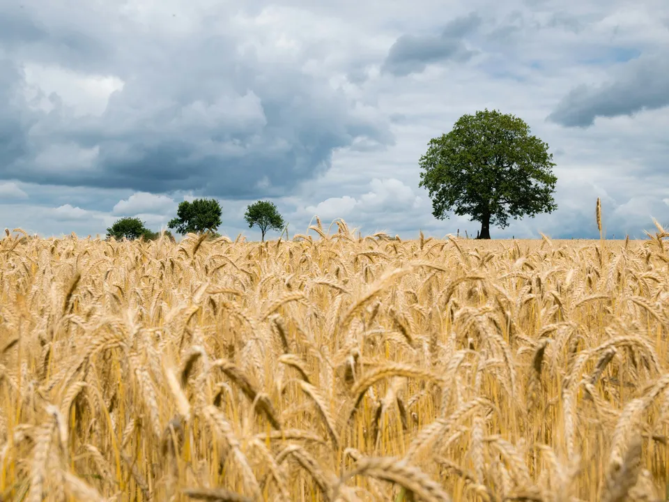 Фото: unsplash.com