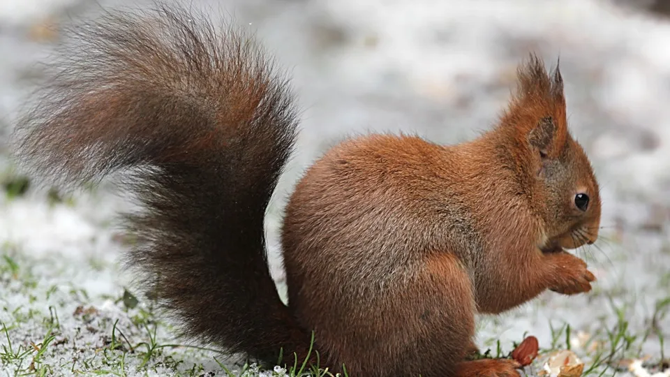 Фото: pxhere.com