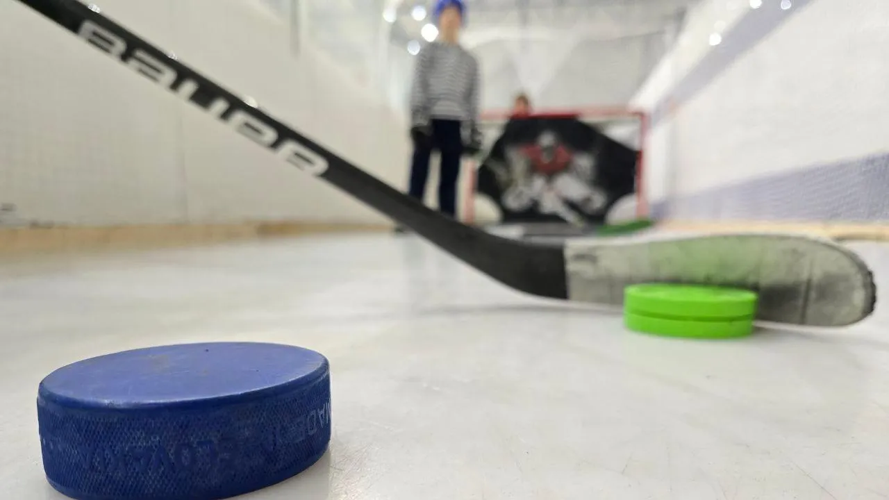 МедиаБанк Подмосковья/Яна Шаливская