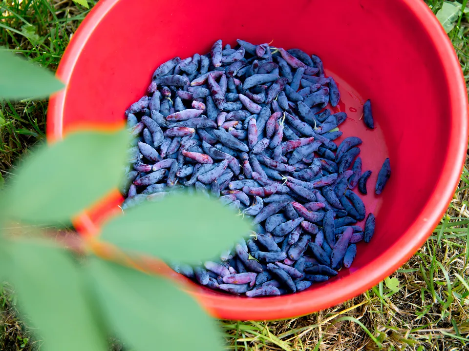 Фото: istockphoto.com